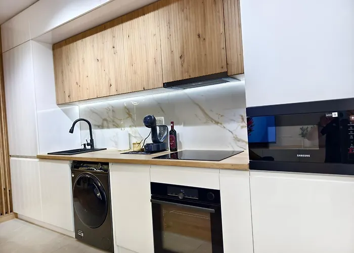 Apartment Art Deluxe - Private Parking Timisoara